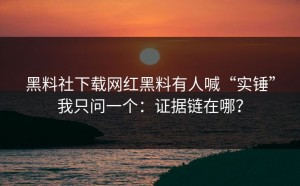 黑料社下载网红黑料有人喊“实锤”我只问一个：证据链在哪？