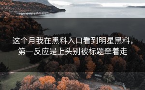 这个月我在黑料入口看到明星黑料，第一反应是上头别被标题牵着走