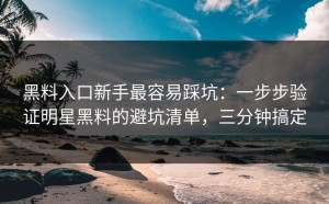 黑料入口新手最容易踩坑：一步步验证明星黑料的避坑清单，三分钟搞定