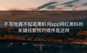 不写你真不知道黑料网app网红黑料的关键线索核对顺序是这样