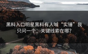 黑料入口明星黑料有人喊“实锤”我只问一个：关键线索在哪？