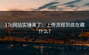 17c网站实锤来了：上传流程到底在藏什么？