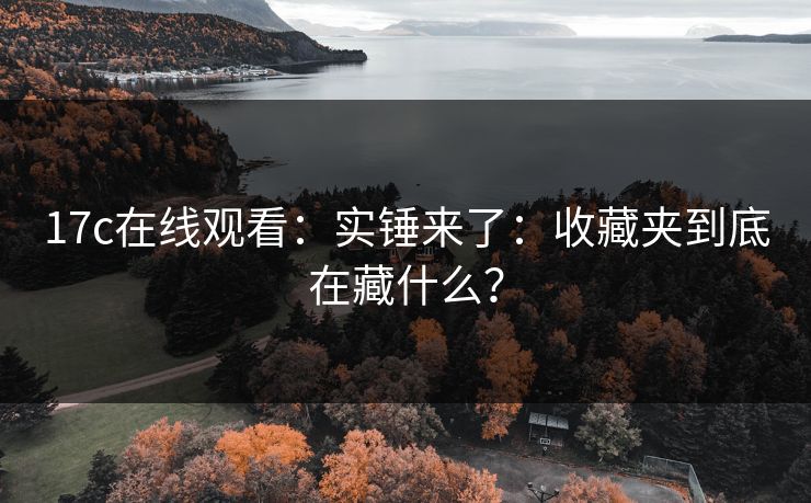 17c在线观看：实锤来了：收藏夹到底在藏什么？
