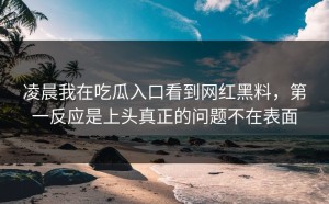 凌晨我在吃瓜入口看到网红黑料，第一反应是上头真正的问题不在表面
