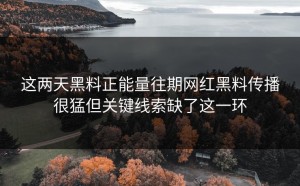 这两天黑料正能量往期网红黑料传播很猛但关键线索缺了这一环
