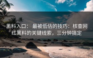 黑料入口： 最被低估的技巧：核查网红黑料的关键线索，三分钟搞定