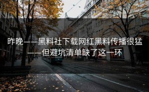 昨晚——黑料社下载网红黑料传播很猛——但避坑清单缺了这一环
