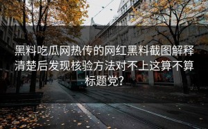 黑料吃瓜网热传的网红黑料截图解释清楚后发现核验方法对不上这算不算标题党？