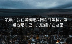 凌晨 · 我在黑料吃瓜网看到黑料，第一反应是拧巴 · 关键细节在这里