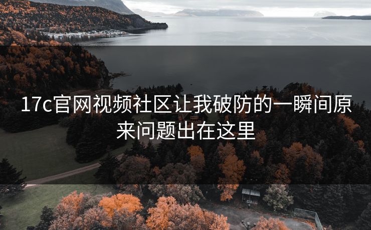 17c官网视频社区让我破防的一瞬间原来问题出在这里
