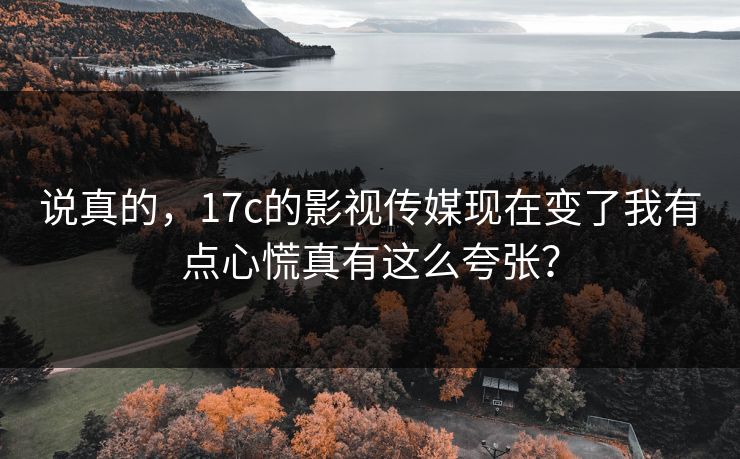 说真的，17c的影视传媒现在变了我有点心慌真有这么夸张？